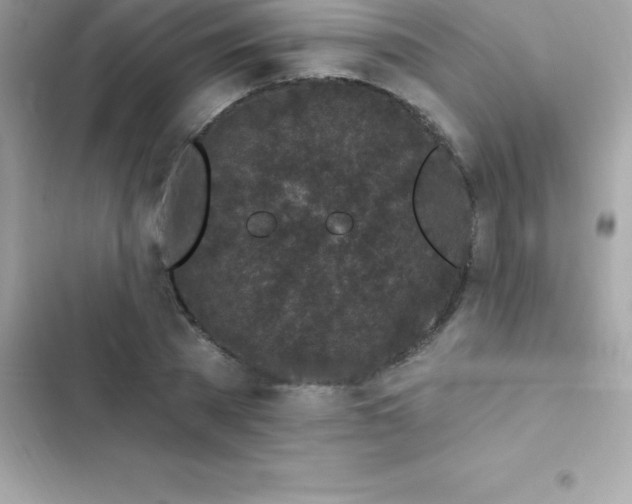 X0000103320785200809192139