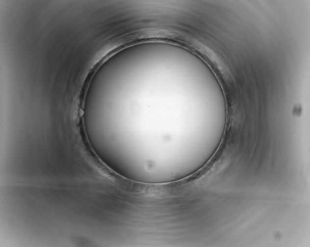 X0000103320786200809192139