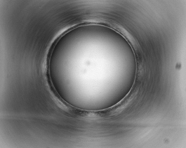 X0000103320787200809192139