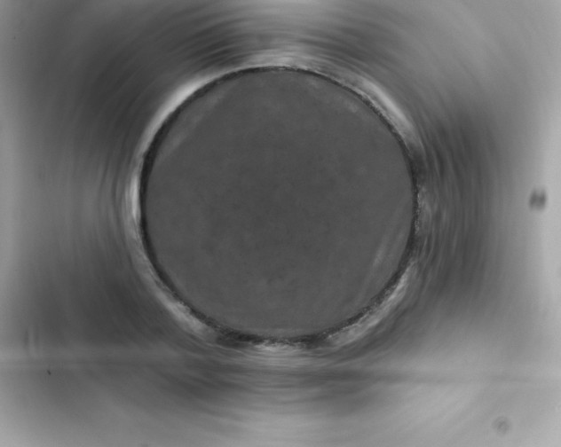 X0000103320788200809192139