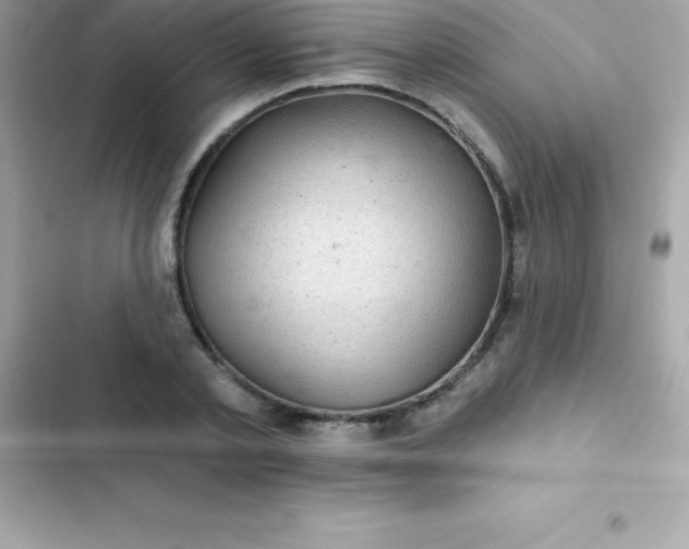 X0000103320789200809192139