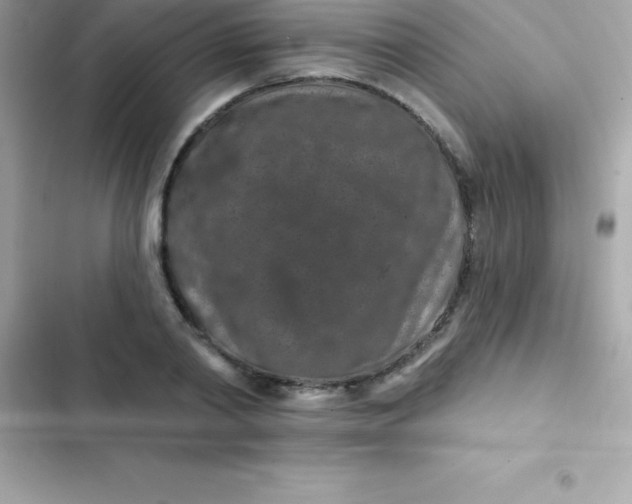 X0000103320790200809192139