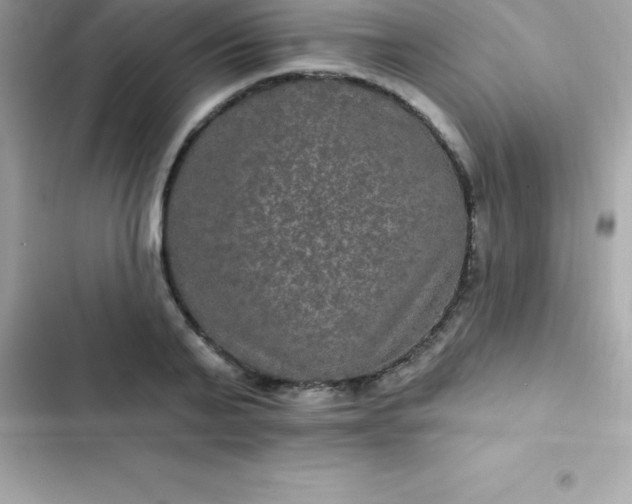 X0000103320791200809192139