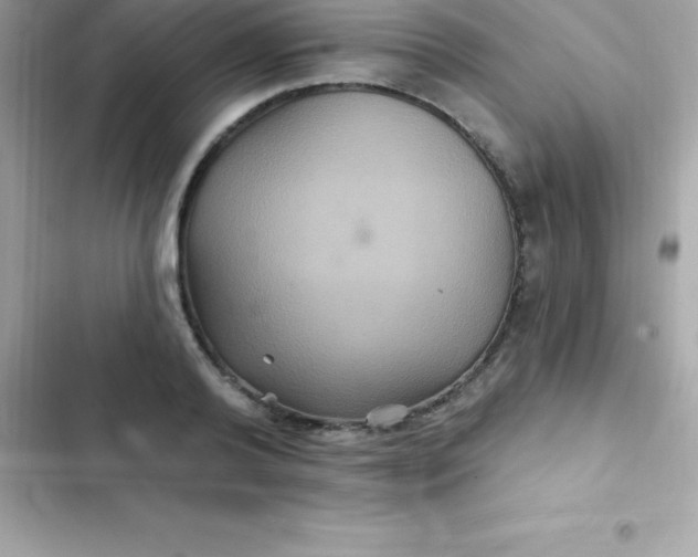 X0000103320792200809192139