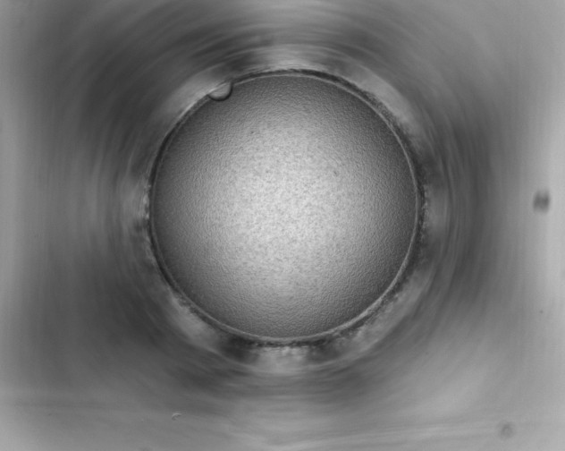 X0000103320793200809192139