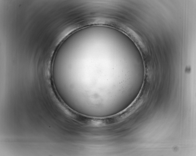 X0000103320794200809192139