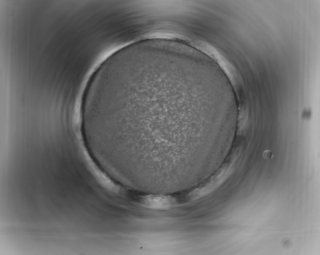 X0000103320795200809192139