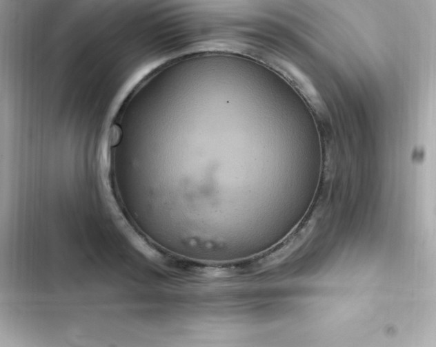 X0000103320796200809192139