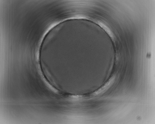 X0000103320797200809192139