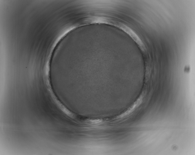 X0000103320798200809192139