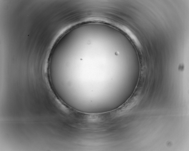 X0000103320799200809192139