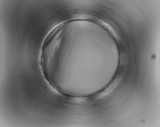 X0000103320802200809192139