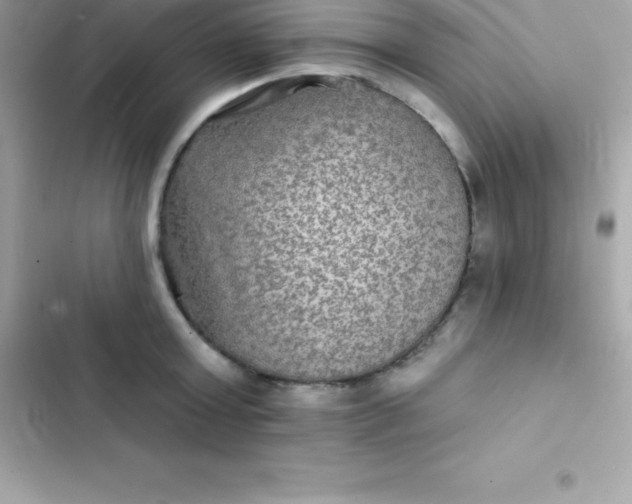 X0000103320803200809192139