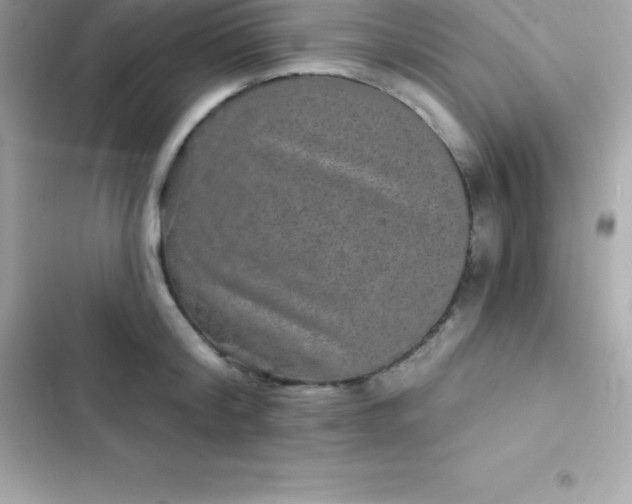 X0000103320804200809192139