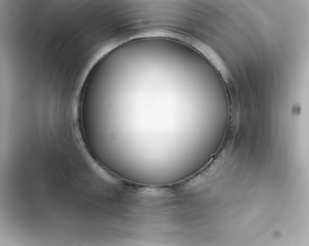 X0000103320805200809192139