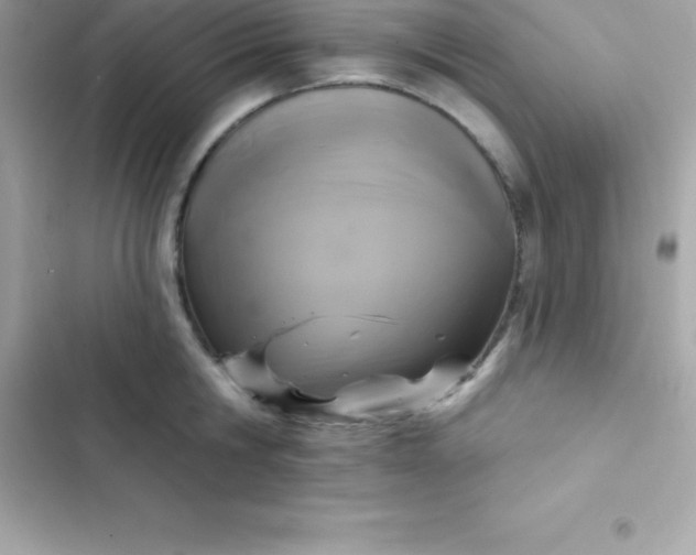 X0000103320806200809192139