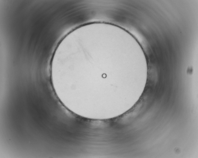 X0000103320807200809192139