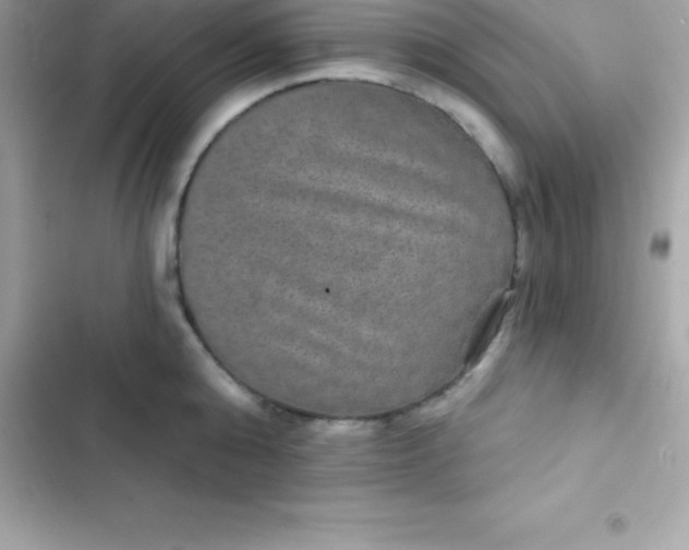 X0000103320808200809192139