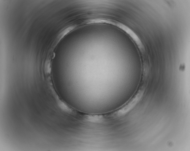 X0000103320809200809192139