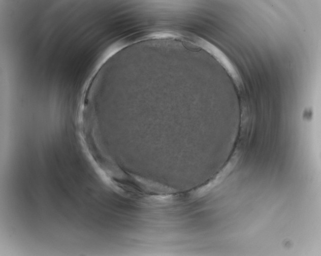 X0000103320810200809192139