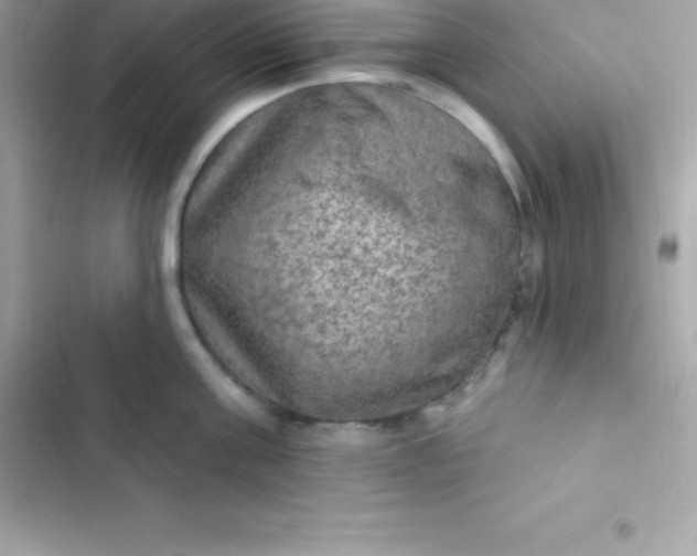 X0000103320811200809192139