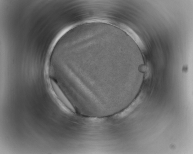 X0000103320812200809192139