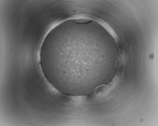 X0000103320813200809192139