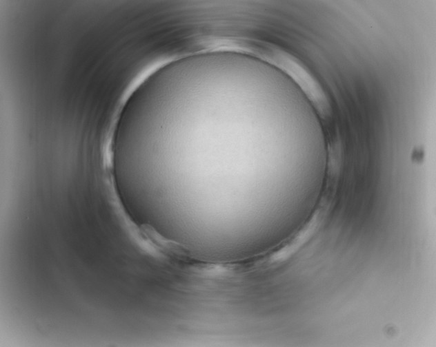 X0000103320814200809192139