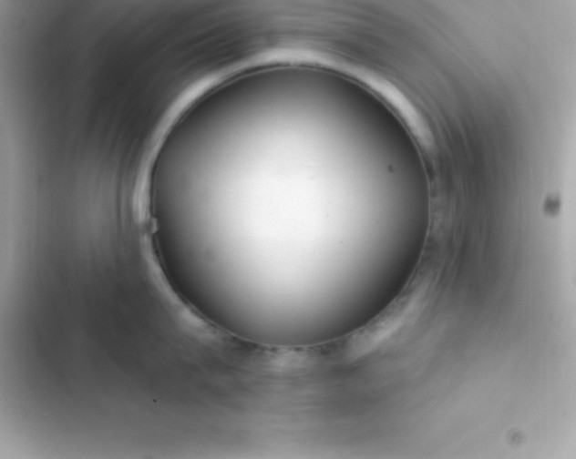 X0000103320815200809192139