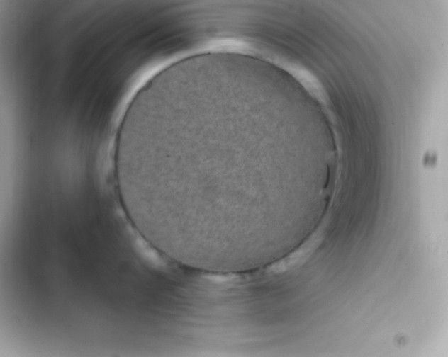 X0000103320816200809192139