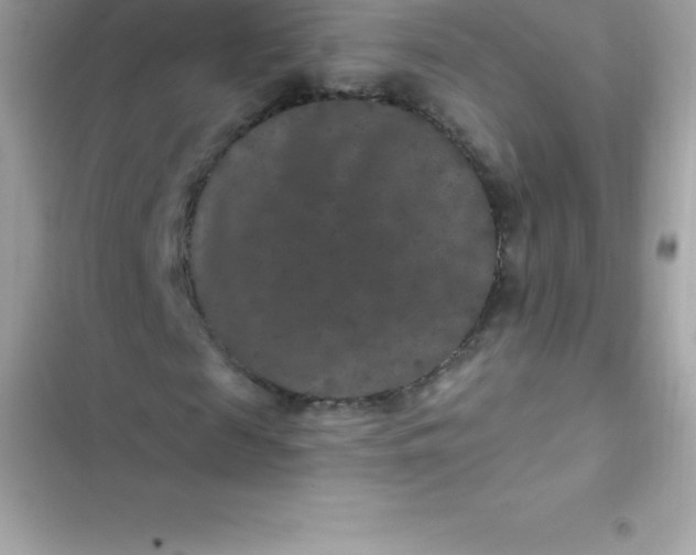 X0000103320817200809192138