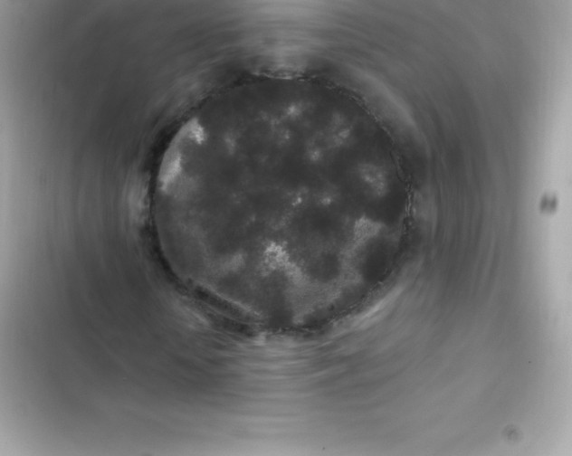 X0000103320818200809192138