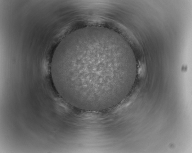 X0000103320819200809192138