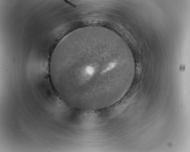 X0000103320820200809192138