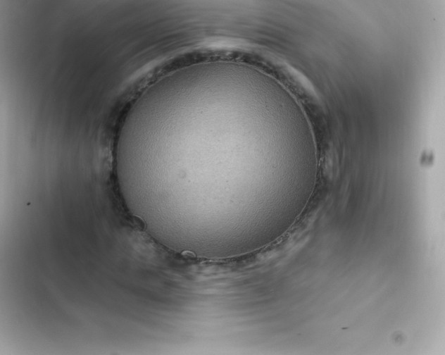 X0000103320821200809192138