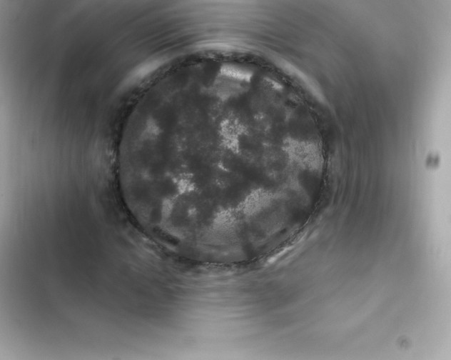 X0000103320822200809192138