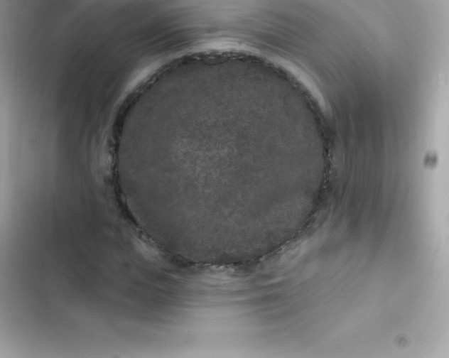 X0000103320823200809192138