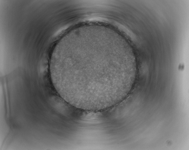 X0000103320824200809192138