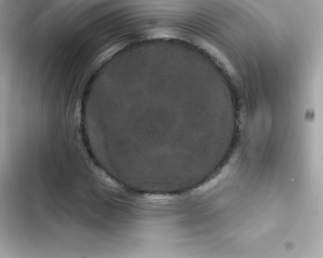 X0000103320825200809192138