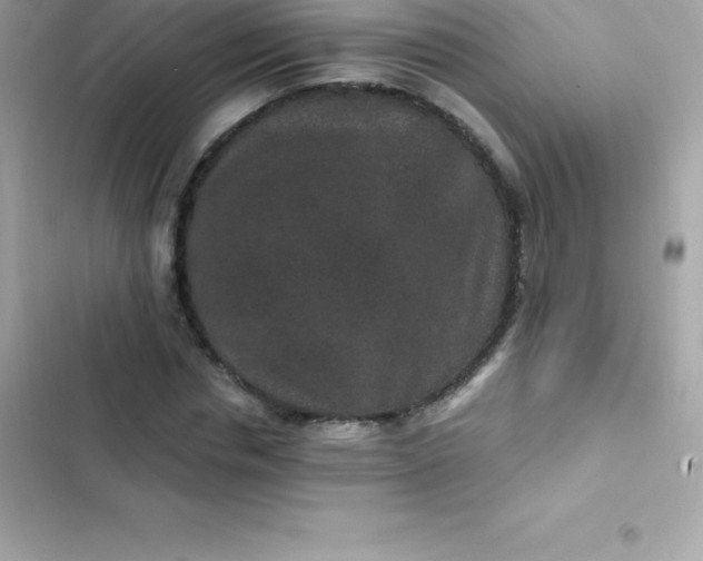 X0000103320826200809192138