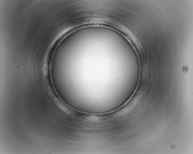 X0000103320827200809192138