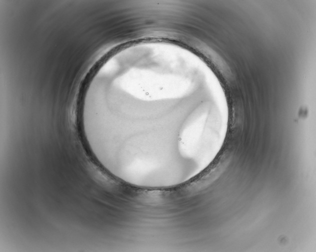 X0000103320828200809192138