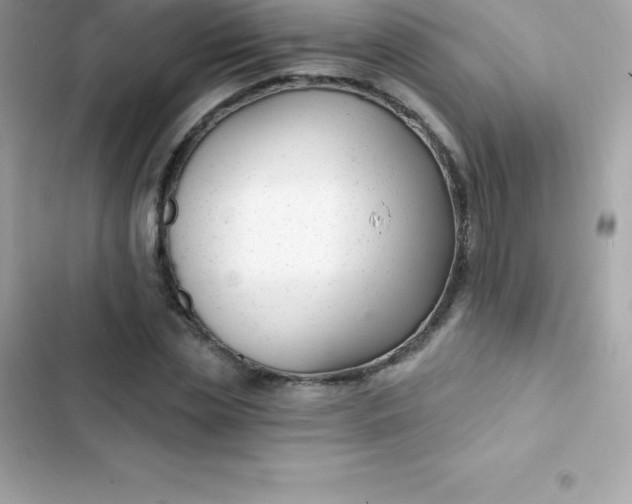 X0000103320829200809192138