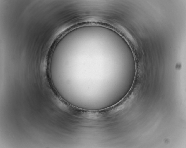 X0000103320831200809192138