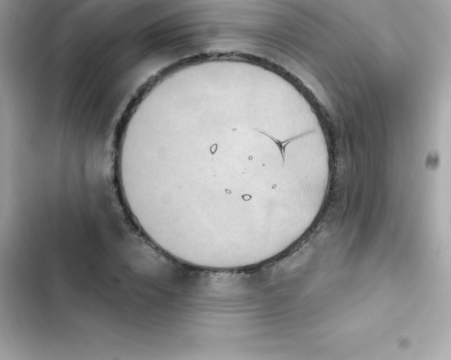 X0000103320832200809192138