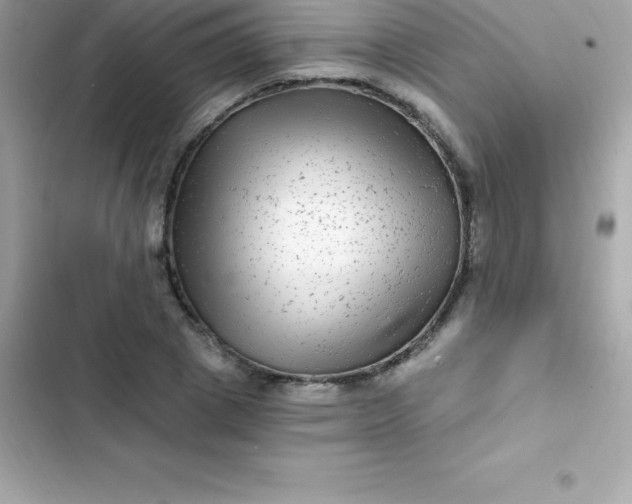 X0000103320833200809192138