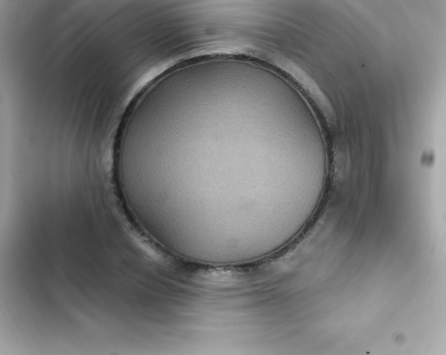 X0000103320834200809192138