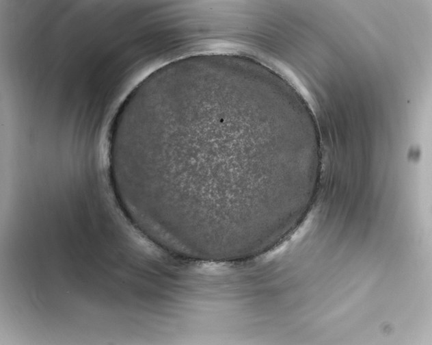 X0000103320835200809192138