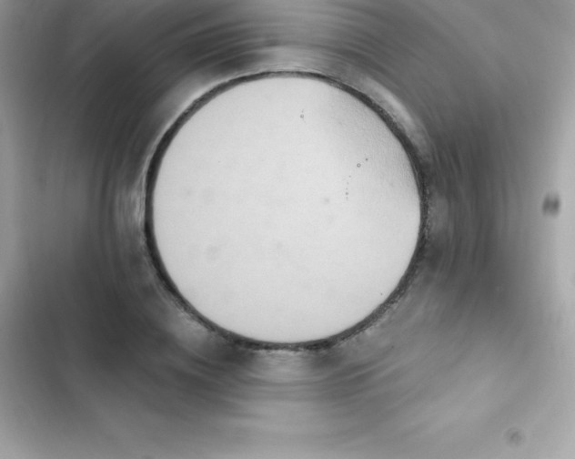 X0000103320836200809192138