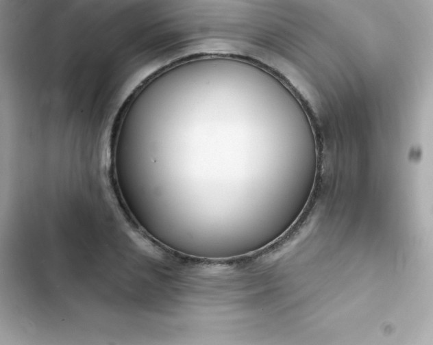 X0000103320837200809192138